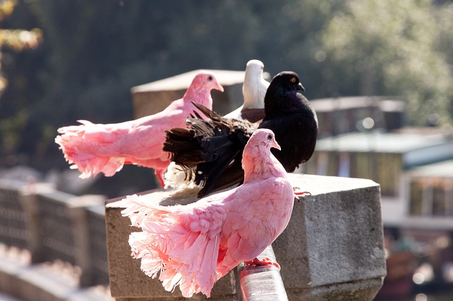 段不仅提升 段不仅提升