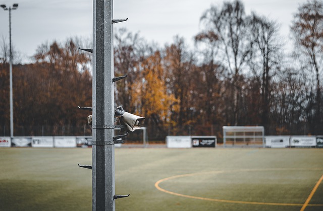 革的实践中 革的实践中