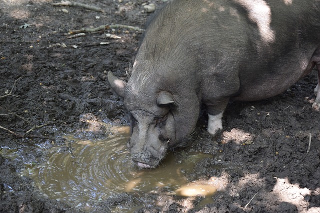 員找到哪幾 員找到哪幾