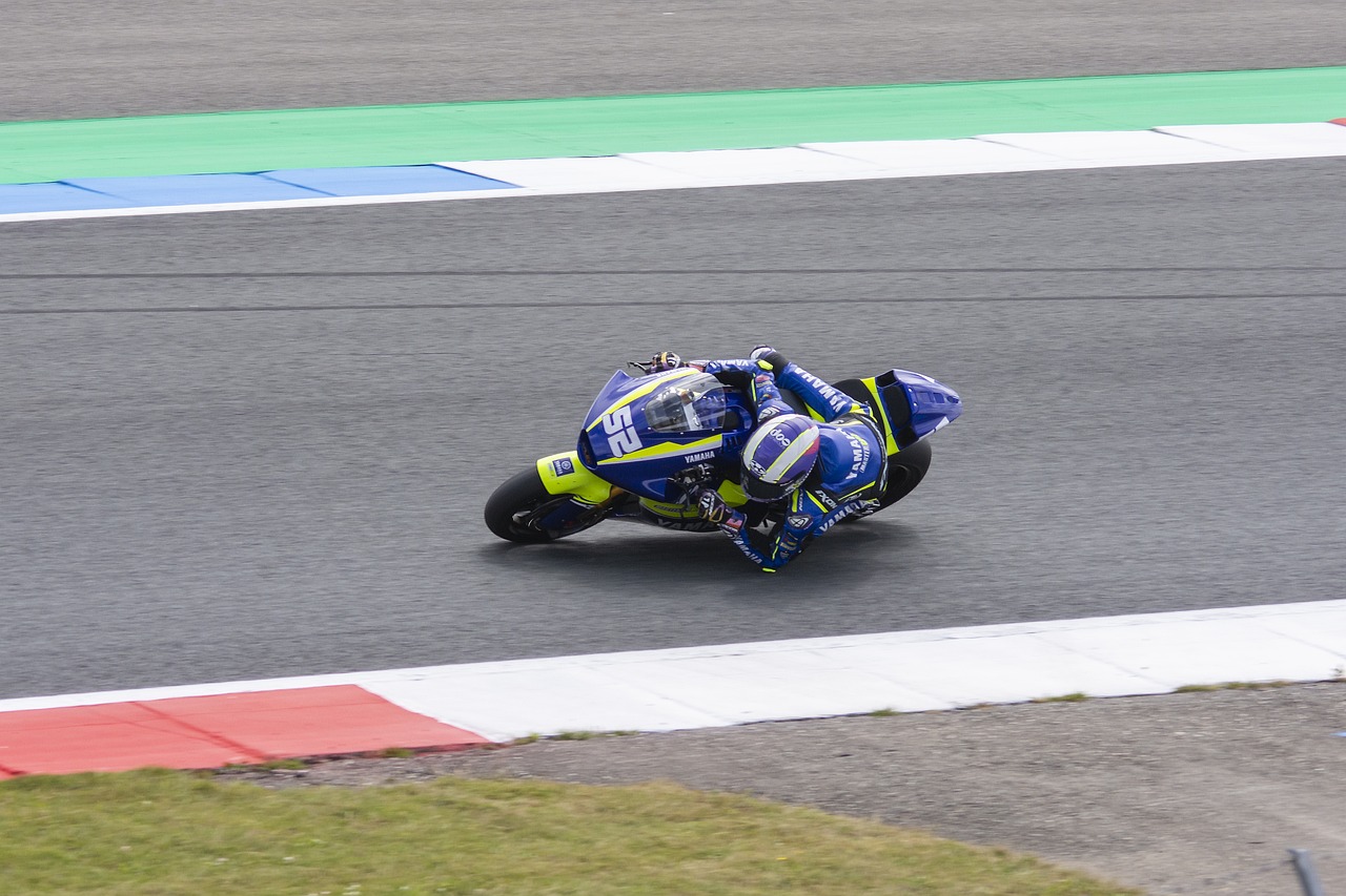 能够保护自 能够保护自