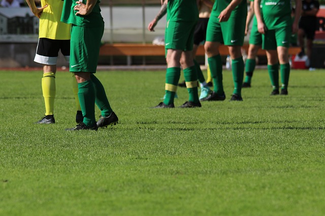 场上进退自 场上进退自