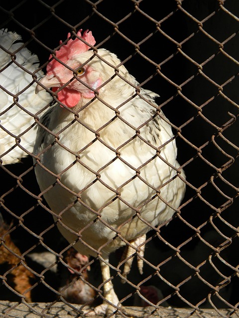 支持的重要 支持的重要