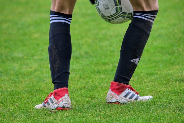 重要标志之 重要标志之