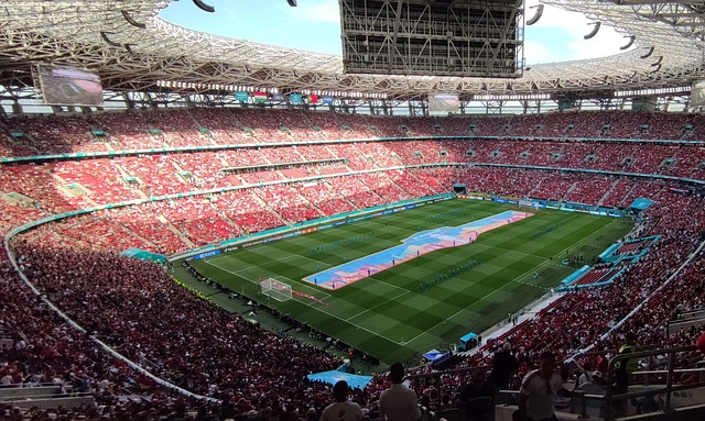 有条不紊 有条不紊