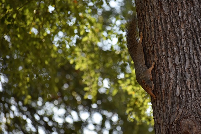 都是皇马乐 都是皇马乐